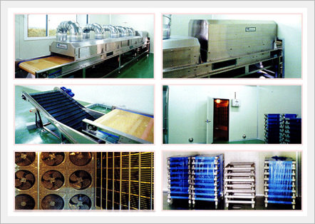 Red Pepper Processing & Treatment System Made in Korea